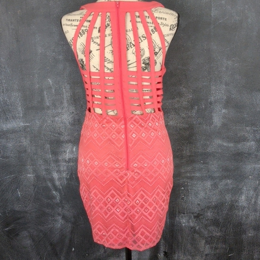 Lace Dress - Picture 2 of 3